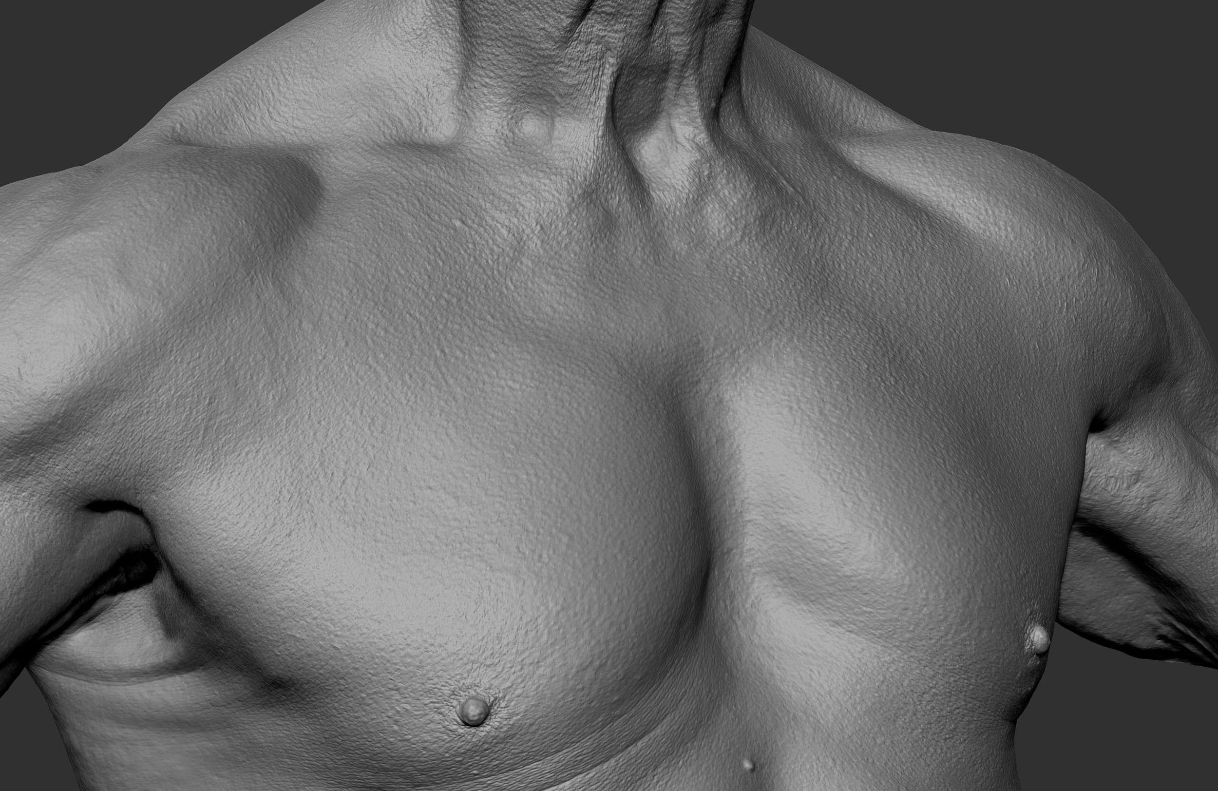 Male aged chest close up in Zbrush